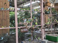 -南宫五洲植物乐园