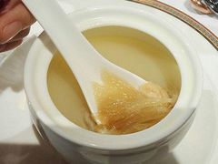 鱼翅-苏浙总会(国金中心店)