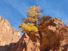 -天山神秘大峡谷