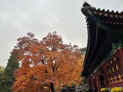 -香山公园