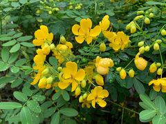 -古田会议纪念馆