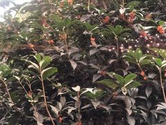 -青岛鑫江温德姆酒店