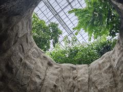 -南山植物园