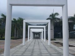 -厦门国家会计学院