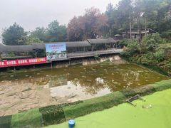 -客乐得玉峰山房车营地