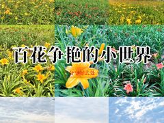 -汉长安城未央宫国家考古遗址公园