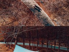 -广州市流溪河国家森林公园