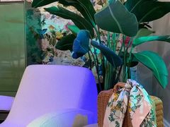 -美克美家(真北旗舰店)