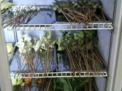 -鑫源碟串串香(后卫寨店)