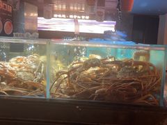 -紫阳海鲜楼·传承闽味(长乐路总店)