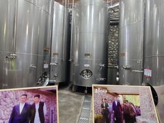 -源石酒庄