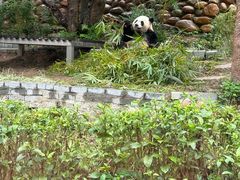 -石排湾郊野公园
