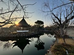 -无锡蠡湖国家湿地公园-蠡园
