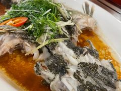 -绿雅居原生态农庄(小涌店)