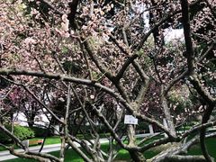 景点-荆川公园