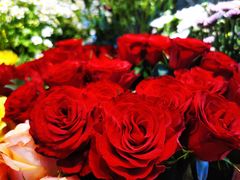 -爱尚幸福鲜花(上地实体店)