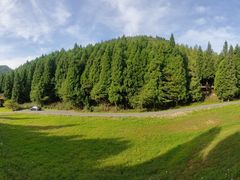 -武陵山森林公园