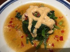 喜菠菜-喜喜水饺