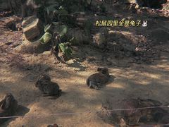 -东部华侨城