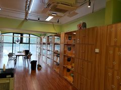 -猫十亿·布偶金渐层·曼基康矮脚猫舍(青年路店)