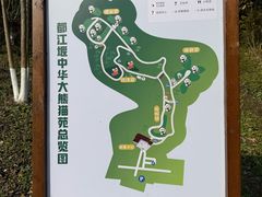 -都江堰中华大熊猫苑