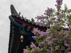 -西安市广仁寺