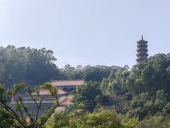 -南沙蒲洲花园