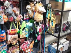 -宠物家(双井店)
