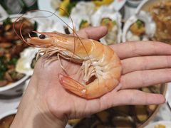 -双合园·海鲜水饺青岛菜(品牌首店)