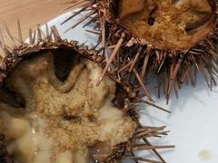 -海胆小馆(东北水饺·春柳店)