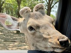 -泉州海丝野生动物世界