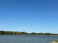 -西青郊野公园