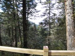 -黄龙山原始森林景区