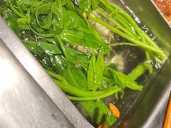 -海底捞火锅(高科广场店)