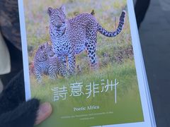-好利来(宣武门店)