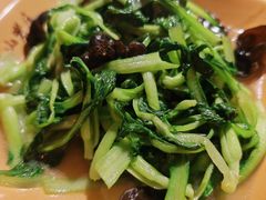 野生黑木耳炒鸡毛菜-深山老屋(国顺东路店)