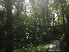 -雪山彩虹谷景区