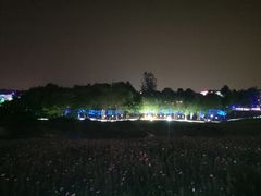 -大塘金香草谷