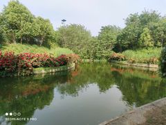 -朝花夕拾中餐厅(台儿庄古城复兴广场店)