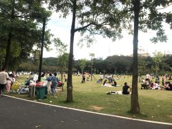 -佛灵湖水上乐园