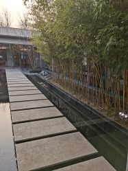 -爱儿美儿童摄影(朝阳公园店)