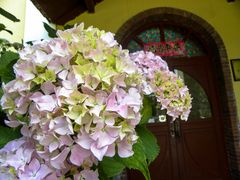 -青岛德国监狱旧址博物馆