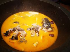 -咕嘟草帽鱼·牛奶一样的鲜鱼汤(包河万达广场创始店)