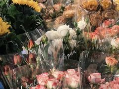 -循礼门鲜花花市(武汉循礼门店)