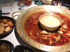-新哥老官·畅吃123·美蛙世界(苏宁广场店)