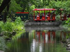 -上海共青森林公园