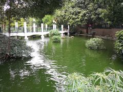 -九龙公园