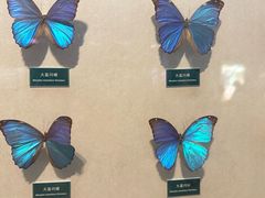 -陕西自然博物馆