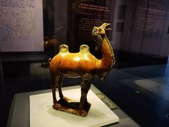 -贵州省博物馆(新馆)