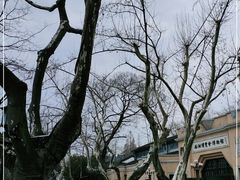 -北山街历史文化街区